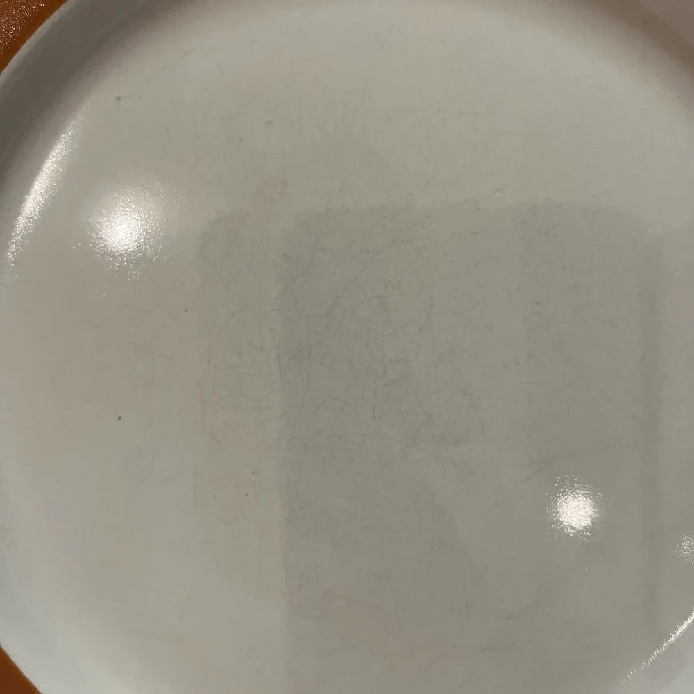 Vtg Pottery Barn Dune Persimmon Dinner Plates Retro MCM Boho Replacement